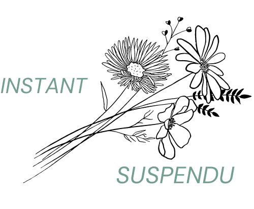 Logo de Instant suspendu