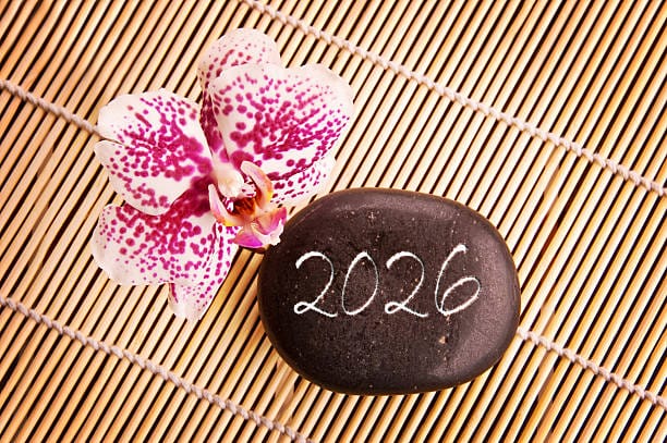 Vœux 2026